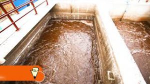 VBIT the leader of Go Green Drive