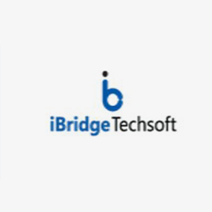 i bridge tech soft